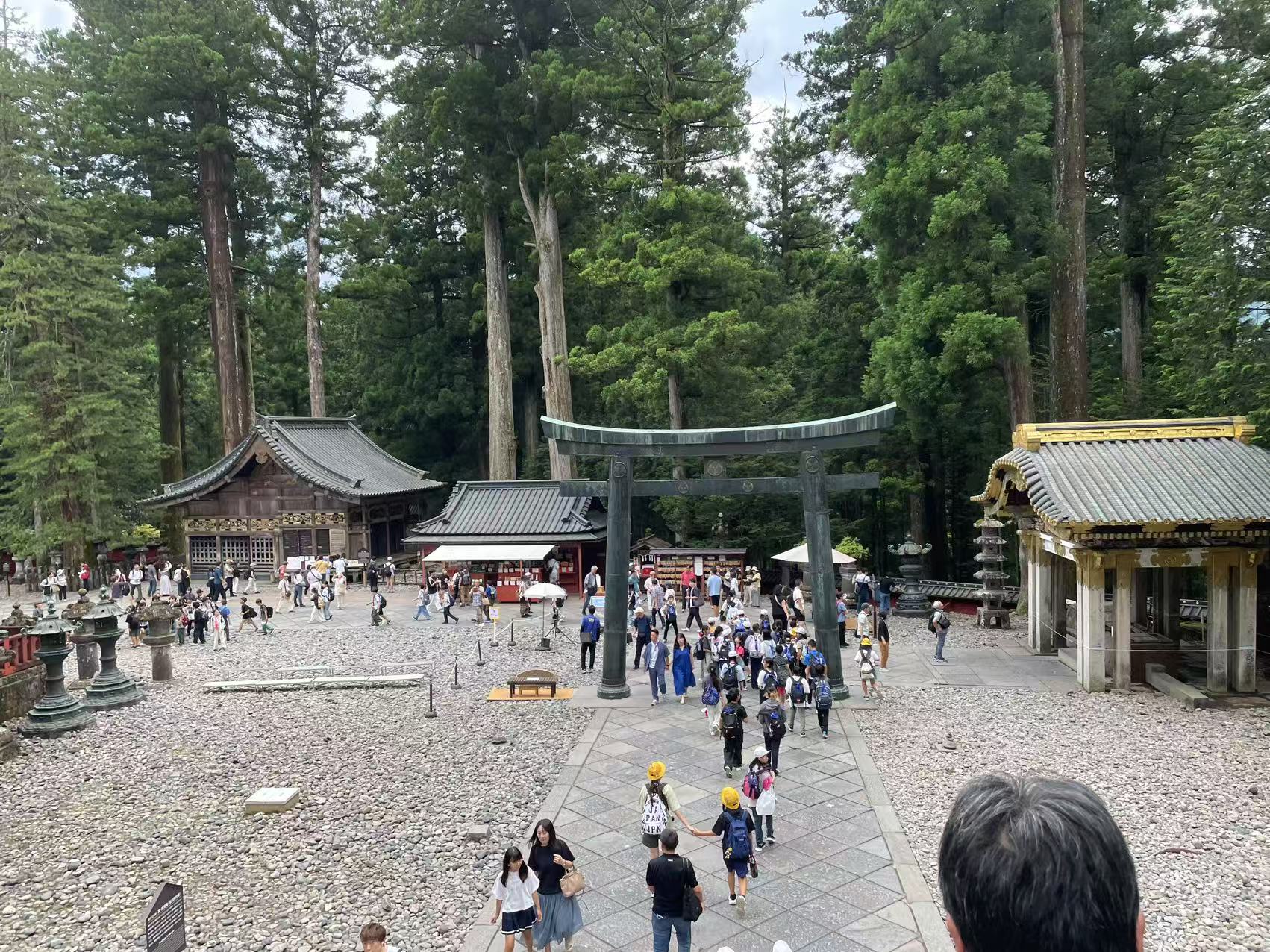 小学生出游