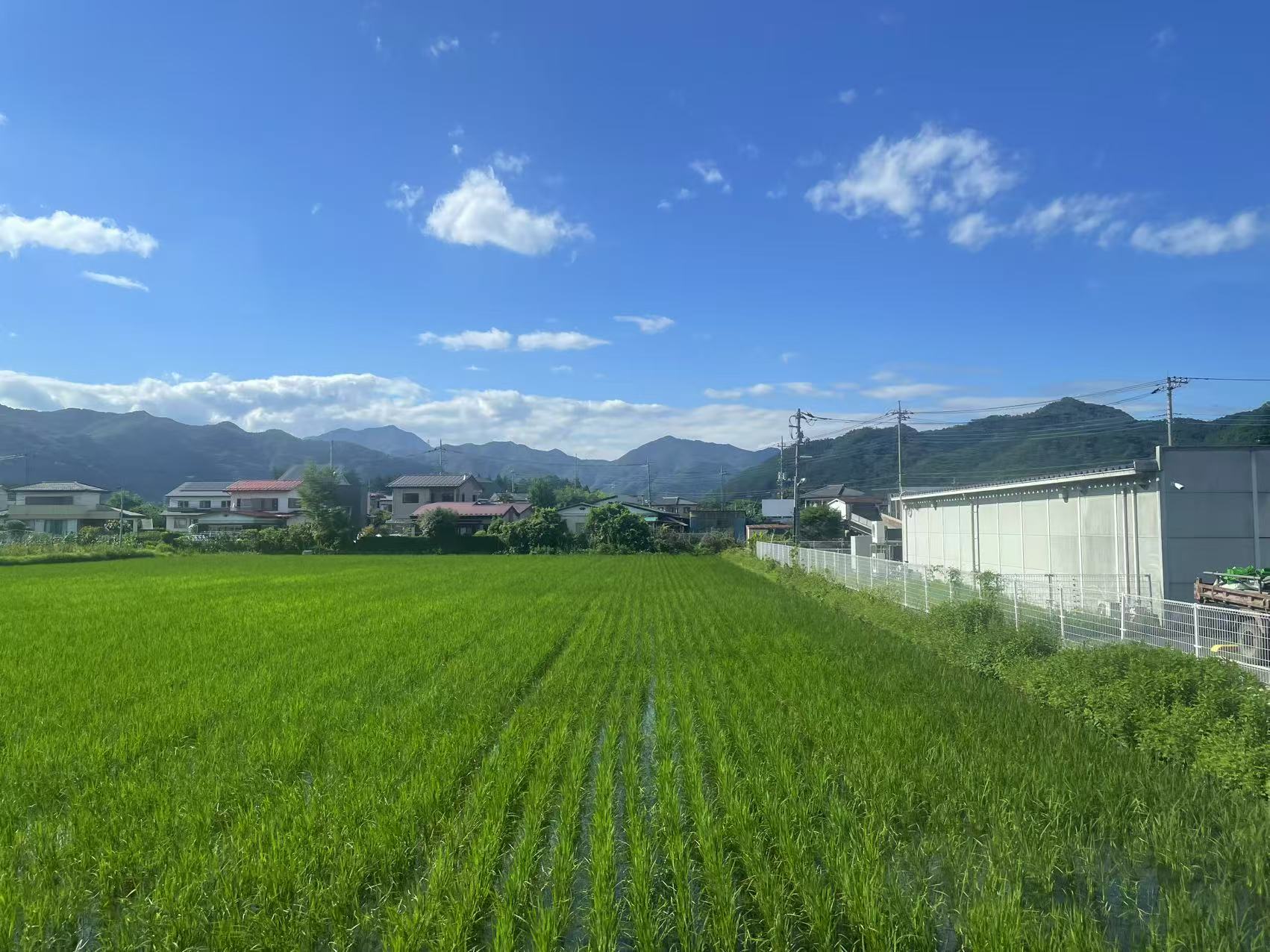 农村景象
