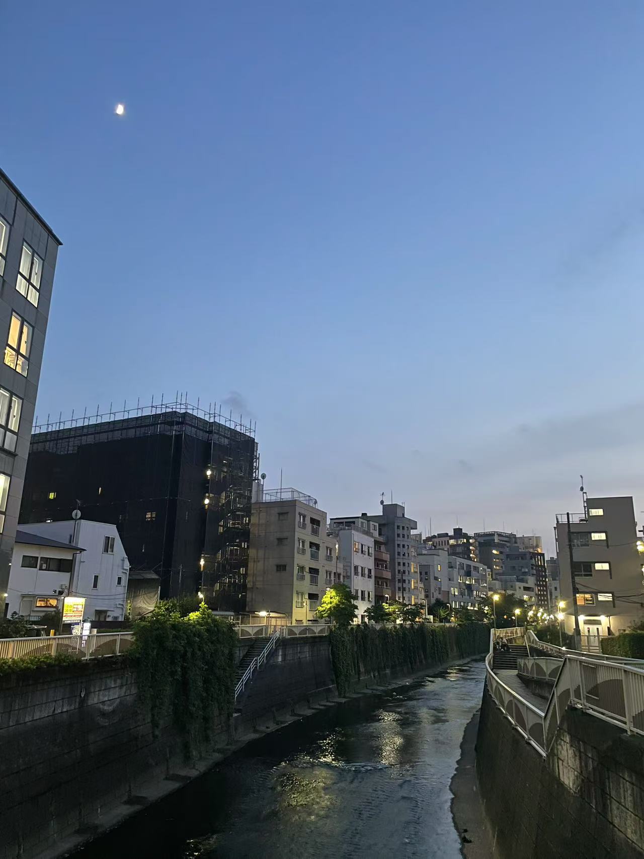 高马的桥
