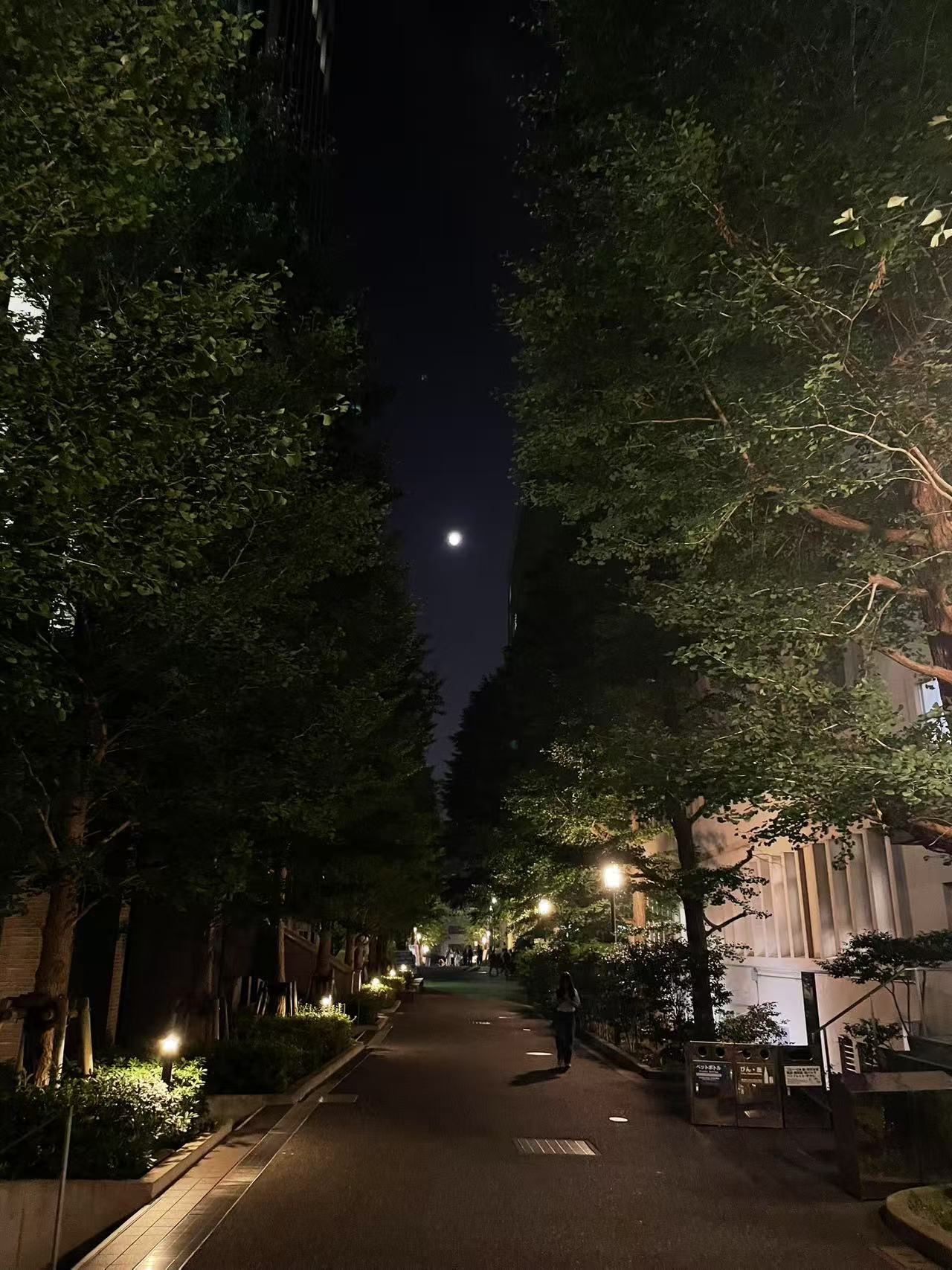 早稻田夜景