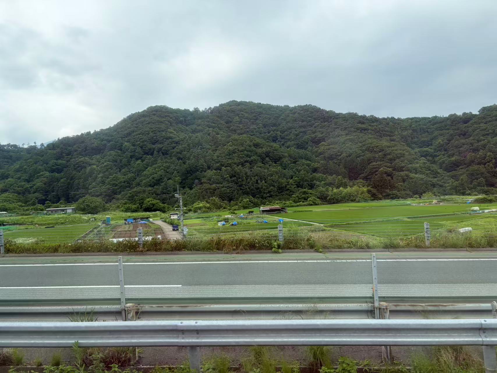 坐巴士去河口湖