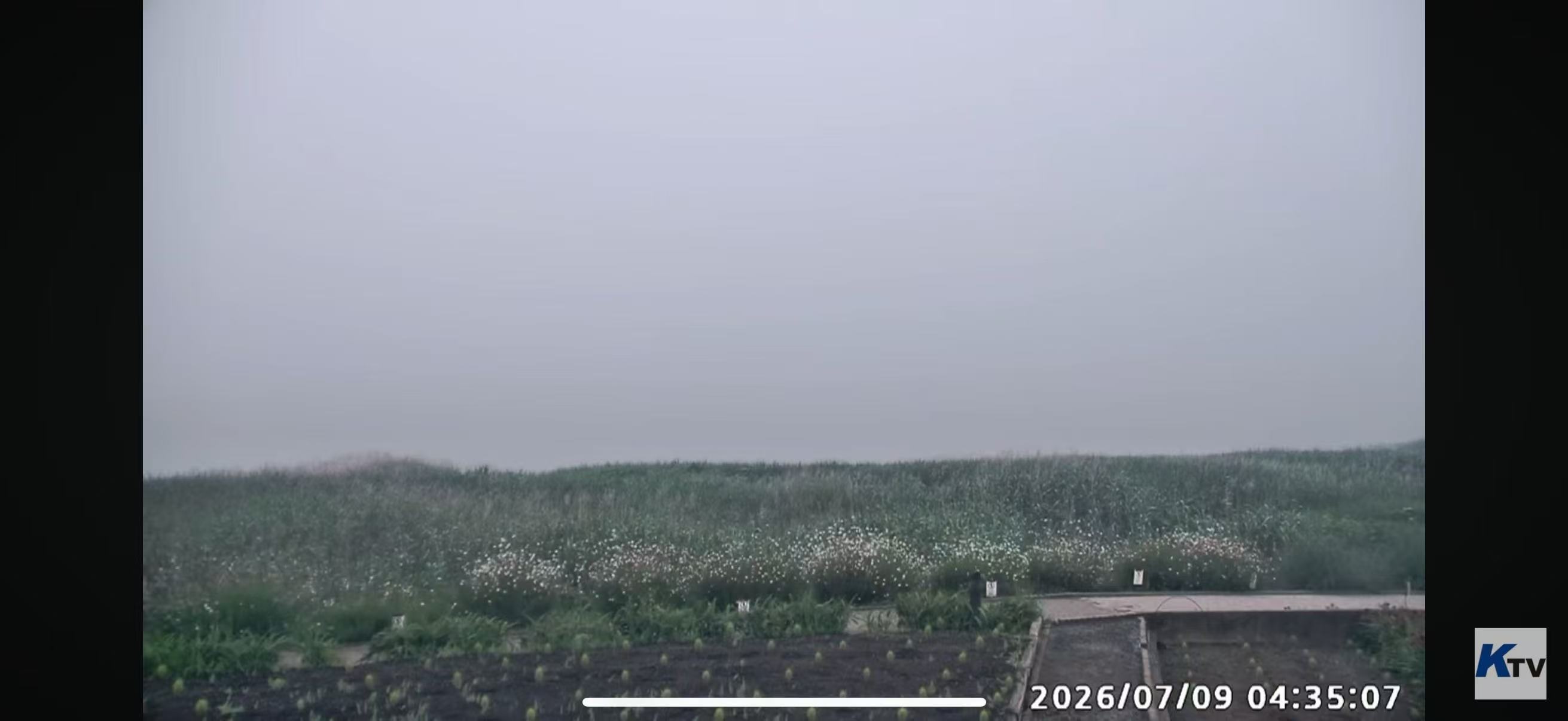 早上的直播，急死我了