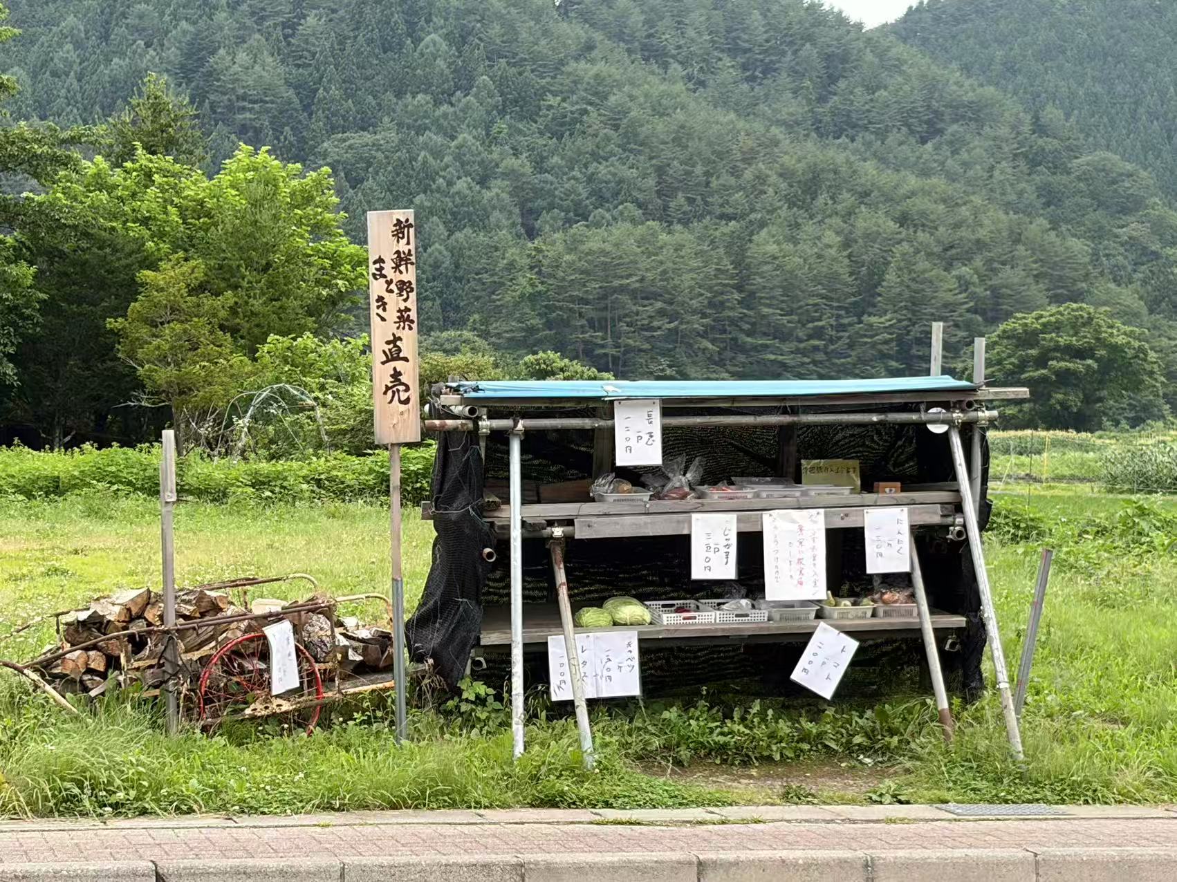 富士山下的图